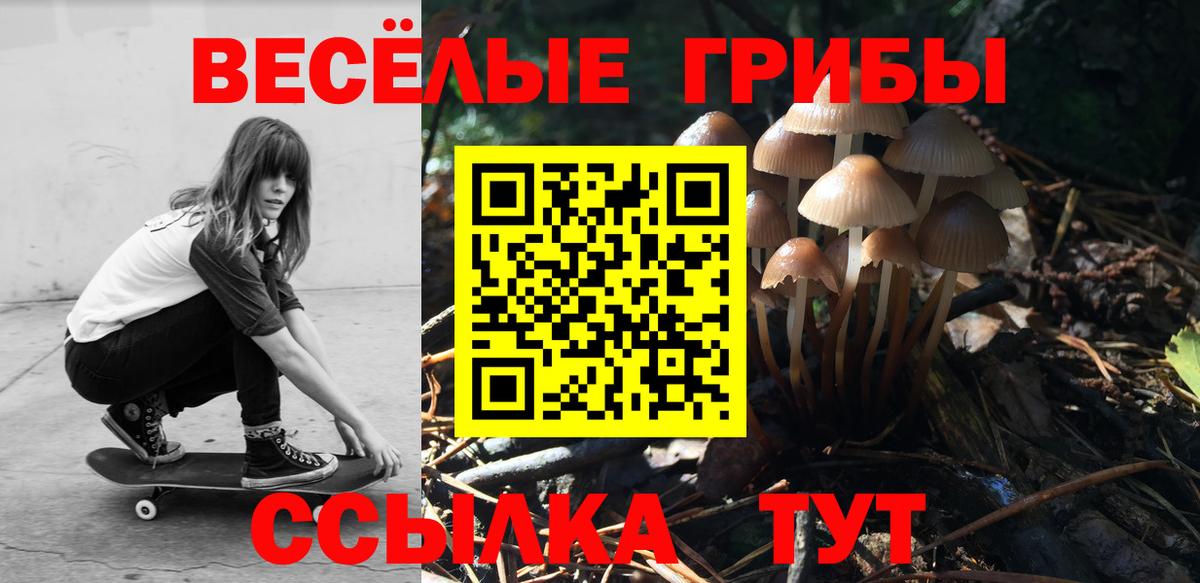 Выборг  Псилоцибиновые грибы Psilocybe  Вход с VPN 