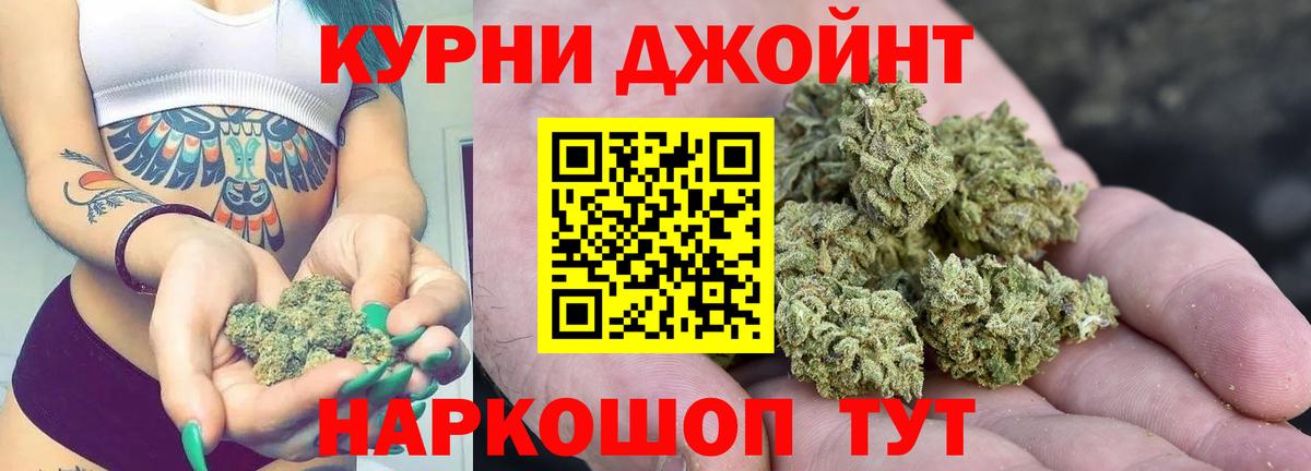 Каннабис конопля Выборг